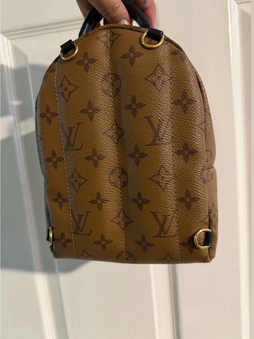 Louis Vuitton Palm Springs mini in reverse monogram